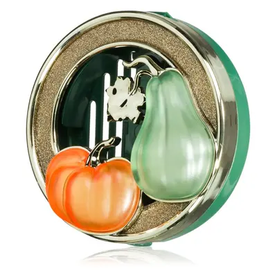 Bath & Body Works Pumpkin and Gourd autóillatosító-tartó töltelék nélkül 1 db