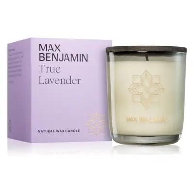 MAX Benjamin True Lavender illatgyertya 210 g