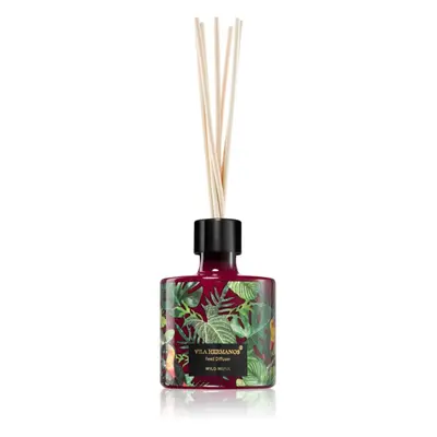 Vila Hermanos Jungletopia Wild Musk aroma diffúzor 100 ml