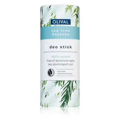 Olival Natural Tea Tree alumínium sótól mentes dezodor 40 g