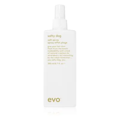 EVO Style Salty Dog sós spray hajra 200 ml