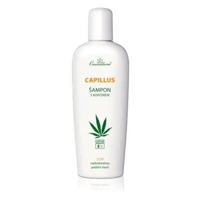 Cannaderm Capillus Caffeine shampoo sampon kender olajjal 150 ml