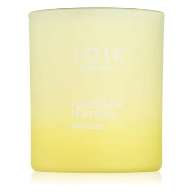 JOIK Home & Spa Narcissus illatgyertya 150 g