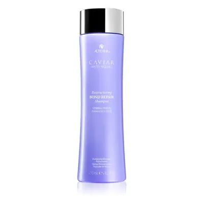 Alterna Caviar Anti-Aging Restructuring Bond Repair megújító sampon a gyenge hajra 250 ml