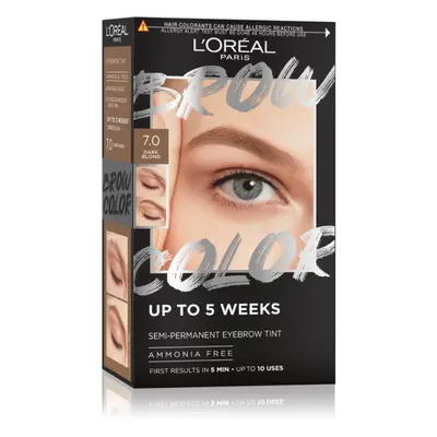 L’Oréal Paris Brow Color szemöldökfesték árnyalat 7.0 Dark Blond 1 db