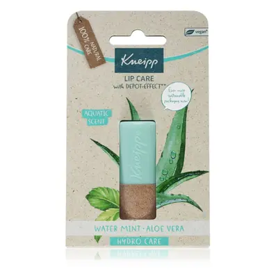 Kneipp Aloe Vera ajakbalzsam 4.7 g