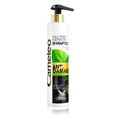 Delia Cosmetics Cameleo BB keratin sampon a károsult hajra 250 ml