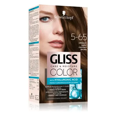 Schwarzkopf Gliss Color tartós hajfesték árnyalat 5-65 Chestnut Brown 1 db