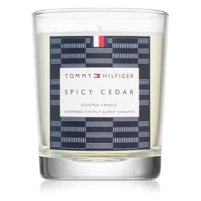 Tommy Hilfiger Home Collection Spicy Cedar gyertya 180 g