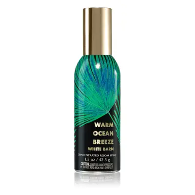 Bath & Body Works Warm Ocean lakásparfüm 42,5 g