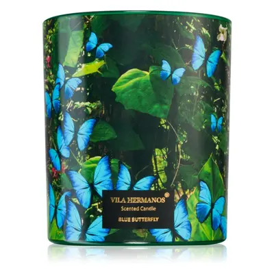 Vila Hermanos Jungletopia Blue Butterfly illatgyertya 200 g