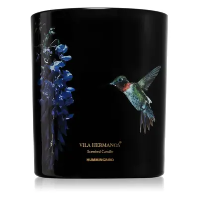 Vila Hermanos Jungletopia Hummingbird illatgyertya 200 g