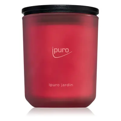 ipuro Classic Jardin illatgyertya 270 g