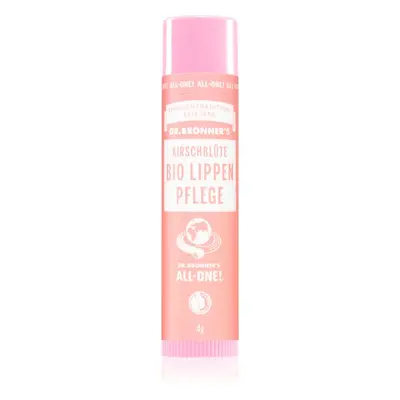 Dr. Bronner’s Cherry Blossom Lip Balm ajakbalzsam 4 g