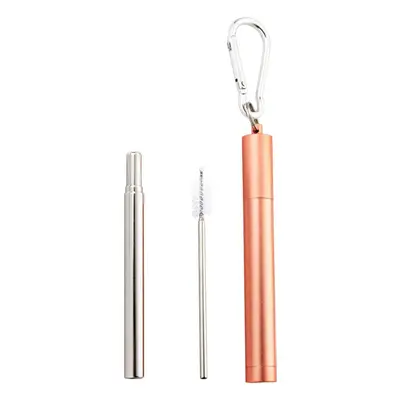 Naturalis Stainless Steel Straw Telescopic szett (mindennapi használatra)