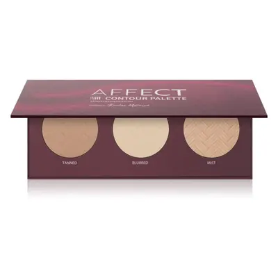 Affect Contour Palette Púderes highlight és kontúr paletta az arcra 3x6 g