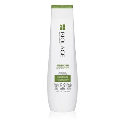 Biolage Strength Recovery sampon a károsult hajra 250 ml