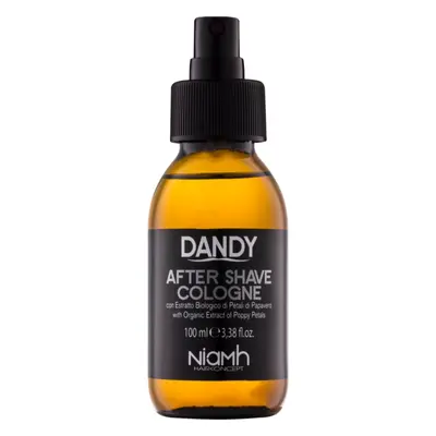 DANDY After Shave borotválkozás utáni arcvíz 100 ml