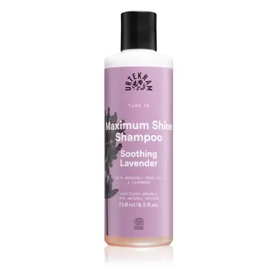 Urtekram Soothing Lavender nyugtató sampon a fénylő és selymes hajért 250 ml