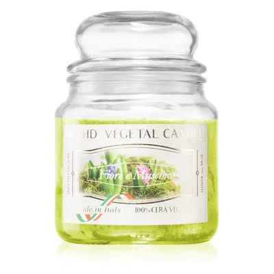 THD Vegetal Fiore E Muschio illatgyertya 400 g