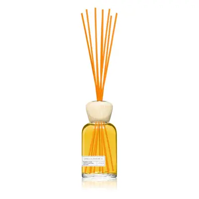 SEAL AROMAS Essential Orange Cinnamon aroma diffúzor 100 ml