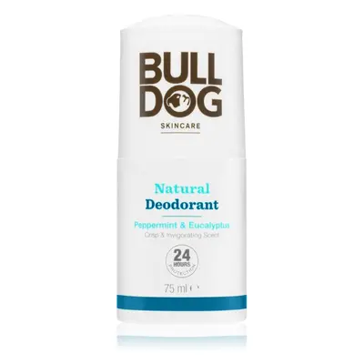 Bulldog Peppermint & Eucalyptus Deodorant golyós dezodor 75 ml