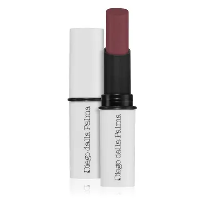 Diego dalla Palma Semitransparent Shiny Lipstick hidratáló szájfény árnyalat Mauve 2,5 ml