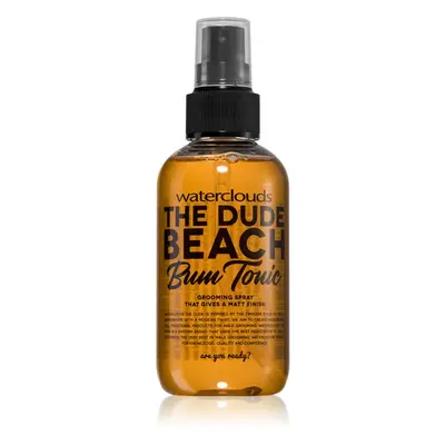 Waterclouds The Dude styling spray hajra 150 ml