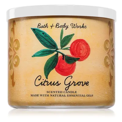 Bath & Body Works Citrus Grove illatgyertya 411 g