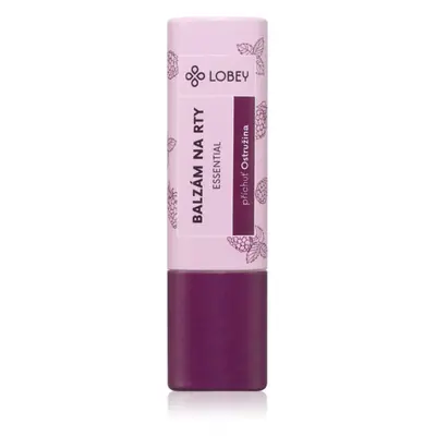 Lobey Skin Care Lip Balm ajakbalzsam árnyalat Ostružina 5 g