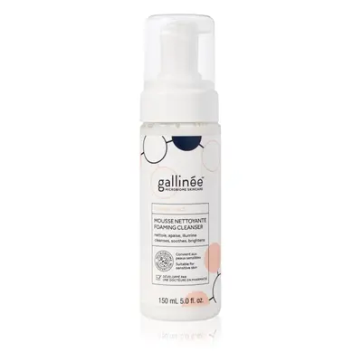 Gallinée SKIN CARE Foaming Facial Cleanser finoman tisztító hab az arcra 150 ml