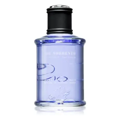 Jeanne Arthes J.S. Joe Sorrento Eau de Parfum uraknak 100 ml