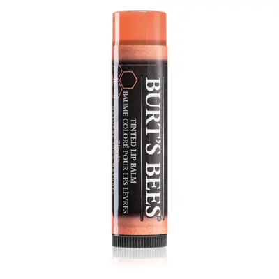 Burt’s Bees Tinted Lip Balm ajakbalzsam árnyalat Zinnia 4.25 g