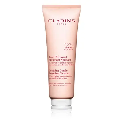 Clarins Cleansing Soothing Gentle Foaming Cleanser gyengéd arctisztító hab nyugtató hatással 125