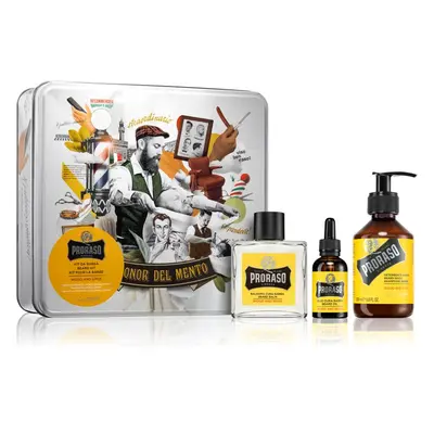 Proraso Set Beard Routine szett szakállra Wood and Spice