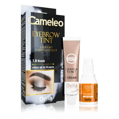 Delia Cosmetics Cameleo professzionális krémes festék a szemöldökre ammónia nélkül árnyalat 1.0 