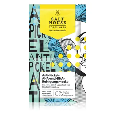 Salt House Natural Minerals Anti-pimple AHA and BHA Cleansing Mask tisztító maszk 2x6 ml