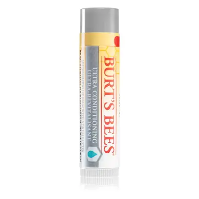 Burt’s Bees Lip Care balzsam a száraz ajkakra 4.25 g