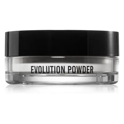 Danessa Myricks Beauty Evolution Powder áttetsző porpúder árnyalat #1 11 g