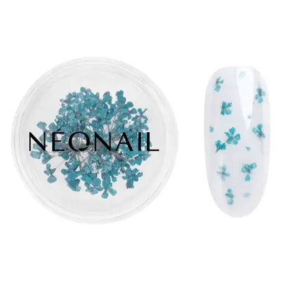 NEONAIL Dried Flowers szárított virág körmökre árnyalat 05 Turquoise 1 db