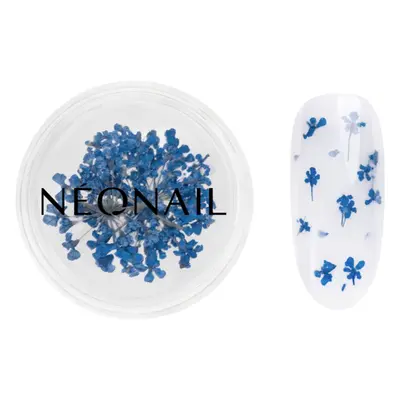 NEONAIL Dried Flowers szárított virág körmökre árnyalat 04 Navy 1 db