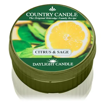 Country Candle Citrus & Sage teamécses 42 g