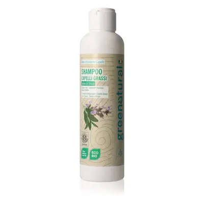 Greenatural Shampoo Sage & Nettle sampon hajolajjal 250 ml