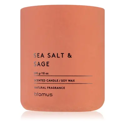 Blomus Fraga Sea Salt & Sag illatgyertya 290 g