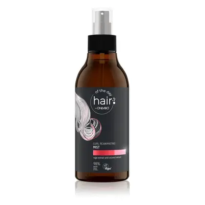 OnlyBio Hair Of The Day öblítést nem igénylő hajkúra a hullámos és göndör hajra 300 ml