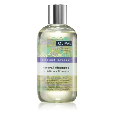 Olival Natural Mint and Lavender természetes sampon száraz és sérült hajra 250 ml