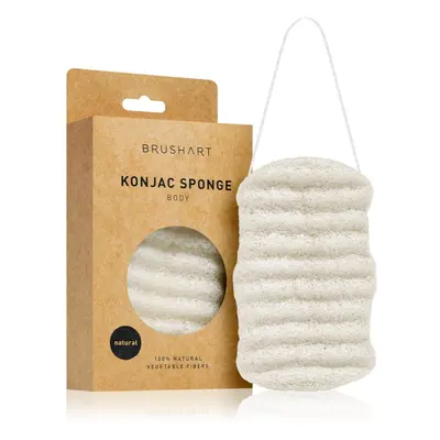 BrushArt Home Salon Konjac sponge gyengéd hámlasztó szivacs testre Natural 1 db