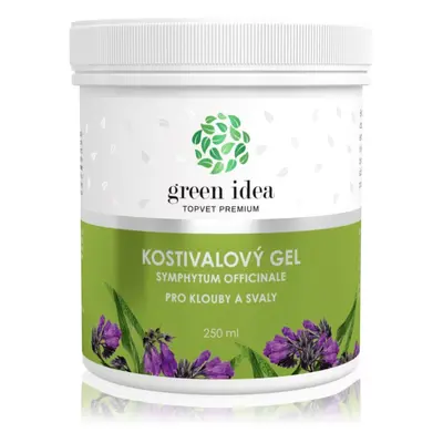 Green Idea Kostivalový gel masszázs gél az izmokra és az izületekre 250 ml