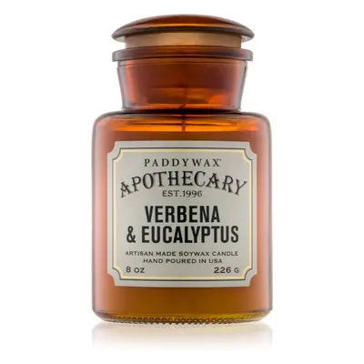 Paddywax Apothecary Verbena & Eucalyptus illatgyertya 226 g