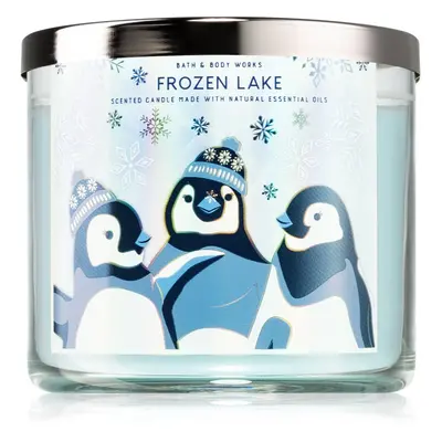 Bath & Body Works Frozen Lake illatgyertya IV. 411 g